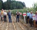 Bild: weu
Rund 25 Landwirte wurden beim Maisfeldtag bei Neuhaus von den zwei Fachmännern Konrad Werner (rechts) und Josef Gschrey (Dritter von rechts) über altbewährte und neue Züchtungen sowie Vorzüge und Nachteile verschiedener Sorten aufgeklärt.