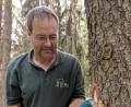Bild: Konrad
Josef Maier, Geschäftsführer der Waldbesitzervereinigung Eslarn-Vohenstrauß, entfernt die Rinde einer Fichte, um den Borkenkäferbefall zu zeigen.