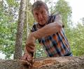 Bild: tr
Der Leiter des Forstbetriebs Waldsassen, Gerhard Schneider , muss nicht lange mit dem Messer unter der Fichtenborke suchen, bis er ein Käfernest entdeckt.