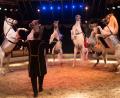 Bild: exb
Feurige Araberhengste begleiten Tierlehrer Francesco und präsentieren in der Manege ihr erlerntes Können.