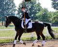 Bild: hai
Beim Reiterfest des Reitclubs am Kulm gibt es das ein oder andere Kunststück zu sehen.
