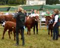 Bild: bey
Impressionen von der Bayerischen Landestierschau des Fleischrinderverbands Bayern in Moosbach.