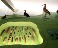 Bild: exb
Welche Feder gehört zu welchem Vogel? Im Naturinfozentrum im Stadtmuseum Schwandorf gibt's Antworten auf diese Frage.. Bild: Götz