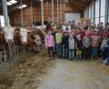 Bild: jr
Stark beeindruckt zeigten sich 20 Kinder und ihre Begleiter vom Bauernhof der Familie Männer in Pechofen. Ermöglicht hatten den Besuch die Wanderfreunde Mitterteich im Rahmen des Ferienprogramms. Landwirt Ludwig Männer jun. (hintere Reihe, links) und seine Familie erzählten viel Wissenswertes rund um die Milcherzeugung.