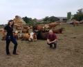 Bild: SoLaWi Stadt, Land, Beides
Sandra Kleimann und Stefan Beßler auf dem Demeterhof Walz in Schäflohe. Sie sind nicht nur die kaufmännischen Initiatoren, sondern koordinieren auch die Kommunikation zwischen Verbraucher, Ernteteiler und Landwirt.