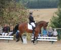 Bild: frd
In der Dressur ist volle Konzentration gefragt.