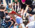 Bild: Lukas Meister
Die Kinder schauen gespannt zu, ob ihr Experiment gelingt.