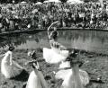 Bild: Wolfgang Steinbacher
Elegante Tänzerinnen: Eine Ballettschule zeigte beim Baustellenfest auf dem Gelände der Landesgartenschau ihr Können. Nach dem Fest im September 1995 war das Areal bis zur Eröffnung im April 1996 für den Publikumsverkehr gesperrt.