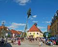 Bild: twi
Den Kirwa-Burschen gelingt es wiederum erfogreich den Kirwabaum auf dem Marktplatz aufzustellen.