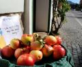 Bild: Stephan Huber
Verlockend: Sie glänzen in der Sonne und bringen so einige Passanten in Versuchung. In der Fronfestgasse liegen Äpfel bereit, an denen sich jeder, der vorbeikommt, bedienen darf.