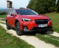 Bild: bz
Wenn auch das große Betätigungsfeld des Subaru XV Stadt und Land sein werden, er bringt alle Zutaten mit, um über Stock und Stein zu klettern.