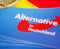 Bild: Christophe Gateau
Das Logo der AfD auf einem Flyer.