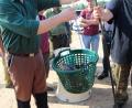 Bild: jma
Das Abwiegen der gefangenen Fische gehört zum Oberpfälzer Fischereitag dazu.