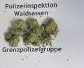 Bild: PI Waldsassen
Bild des sichergestellten Marihuanas.