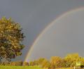 Bild: Florian Moller
Ein Regenbogen bei Vohenstrauß.
