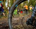 Bild: exb
Zu einem Erfahrungsaustausch und einer Mountainbike-Tour rund um den Ochsenkopf trafen sich in Fleckl Sportler und Förster der Bayerischen Staatsforsten aus Anlass der „Deutschen Waldtage“.