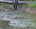 Bild: rn
Um einen Meter ging der Wasserstand im Teich des Walderlebnispfades zurück