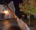 Bild: bö
Da liegt er nun, der Schmidmühlener Kirwabaum. Sturm Fabienne hat ihn am Sonntagabend umgedrückt.