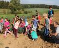 Bild: gru
Die Kinder auf dem Feld beim Erdäpfel suchen und ernten.