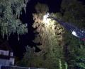 Bild: jma
Ein Baum stürzte auf das Alten- und Pflegeheim Hammergmünd.