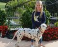 Bild: jr
Jolina Hägler, Enkelin von Organisator Johann Heindl, ist voller Vorfreude auf die 21. Dalmatiner-Ausstellung in Münchsgrün. Mit dabei sein wird natürlich auch der zehnjährige „Cinnamon“.