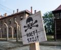 Bild: Monika Skolimowska/dpa-Zentralbild/dpa
Das Schild mit der Aufschrift „Halt!“ in deutscher und polnischer Sprache steht in der KZ-Gedenkstätte Auschwitz, früher das größte Vernichtungslager der Nationalsozialisten.