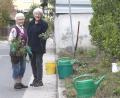 Bild: Hirsch
Fleißige Helfer des Gartenbau- und Ortsverschönerungsvereins Fronberg übernehmen die Pflege der öffentlichen Grünflächen.