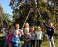 Bild: zer
Paradiesische Verhältnisse auf der Streuobstwiese. Die Apfelbäume tragen heuer reich. Die Buben und Mädchen pflücken eifrig mit und dürfen nach getaner Arbeit auch ein Körbchen mit nach Hause nehmen.