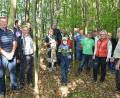 Bild: dob
Förster Albert Urban (rechts) zeigt den Waldbesitzern den vor 25 Jahren mit Kirschbäumen angepflanzten Bereich in einem Waldstück zwischen Straßenhäuser und Kalter Baum.