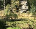 Bild: Rainer Christoph
Nichts deutet bei den mächtigen Granitfelsen am Uferpfad der Waldnaab auf die Existenz der ehemaligen Burg Schwarzenschwall hin. Für interessierte Wanderer hat der OWV eine kleine hölzerne Infotafel unterhalb der Felsen aufgestellt.