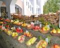 Bild: rku
Obstausstellung.