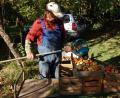 Bild: exb
Mit den richtigen Gerätschaften kann man sich die Arbeit im Obstgarten erleichtern: Franz Gerl nutzt dazu zum Beispiel den Rollsammler.