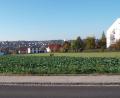 Bild: e
Die Fläche zwischen Rathaus und AWO-Seniorenheim ist nicht mehr lange ein Acker. Die Planungen für den Seniorenwohnpark am Rathaus sind in einer konkreten Phase. Demnach entsteht das Wohn- und Geschäftsquartier zwischen der Zeilenstraße (rechts neben dem AWO-Seniorenheim) und Schulstraße (Vordergrund) entlang des Rathauses (links) Richtung Vilstalstraße