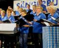 Bild: Hirsch
Der gemischte Chor des Sängerbundes unter der Leitung von Michael Koch brachte das "Schwandorf-Lied" zu Gehör.