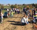 Bild: le
Auf dem Acker bei Kalmreuth geht es beim Herbstfest des Kindergartens "Unterm Regenbogen" bunt zu.