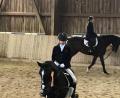 Bild: luk
Zwei Podestplätze schafft Lena Kausler auf Chipsy. Im Reiterwettbewerb stehen die beiden ganz oben auf den Treppchen, im Springreiterwettbewerb belegen sie Platz drei.