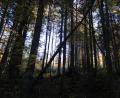 Bild: esa
Impressionen aus dem Bayerischen Wald
