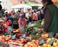 Bild: rgr
Beim Herbstmarkt in Grafenwöhr steht frische Ware aus der Region hoch im Kurs. Dazu locken aber auch diverse Schmankerln die Besucher auf den Marktplatz.