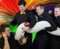 Bild: exb
Nicht nur einen Ohrwurm haben Bertomijo im Repertoire: Die A-cappella-Band gastiert am Samstag, 10. November, in Ehenfeld.