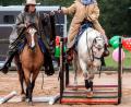 Bild: R. Kreuzer
Reiten über eine Brücke, wenden um die eigene Achse oder auf dem Elefantenhocker stehen waren Übungen für Reiter und Pferd, um den Interessierten in allen Vereinen die Trailmöglichkeiten zu bieten.
