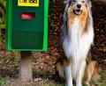 Bild: gef
Collie Chief neben einer der neu errichteten Hundetoiletten in Freudenberg.