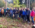 Bild: mef
Die Schüler des Gymnasiums Neustadt und ihre Lehrkräfte helfen bei der Waldarbeit.