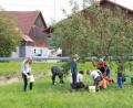 Bild: ema
Fleißig ernteten die Kinder Äpfel auf einer Streuobstwiese in Trefnitz.