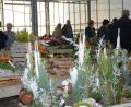 Bild: eya
Große Auswahl an Gestecken und vielem mehr gab es bei der Allerheiligen-Ausstellung in der Gärtnerei.