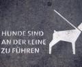 Bild: Daniel Naupold/dpa
Bürgermeister Andreas Wutzlhofer habe keine Grundlage eine Anleinpflicht für alle Vierbeiner zu erlassen.