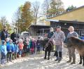 Bild: es
Großen Spaß hatten die Buben und Mädchen der Gruppe "Schlaufüchse" des Kindergartens "St.Martin" am Montag bei ihrem Ausflug zum Ponyhof "Beim Wilhelm" von Konrad und Christine Reisinger in Kleinschwand.