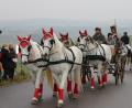 Bild: exb
Viele der Gespanne sind prächtig geschmückt, wenn sie sich auf den Weg zum Leonhardi-Kirchlein bei Seebarn machen.