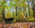 Bild: Michael Schade
Herbst in der Oberpfalz.