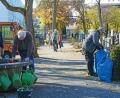 Bild: Gabi Schönberger
Es wird gegossen, gefegt und angepflanzt: Auf dem Stadtfriedhof in Weiden bereiten sich die Angestellten und Angehörigen auf Allerheiligen vor.