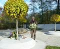 Bild: Portner, Gertraud
Fast wie ein kleiner Park: Auch bei den neuen Urnenbäumen im Friedhof in Pfreimd übernimmt Bestatter Peter Stubenvoll auf Wunsch den Blumenschmuck. Jeder Baum hat 24 Segmente für insgesamt 48 Urnen. Eine Bronzetafel erinnert an den Verstorbenen.